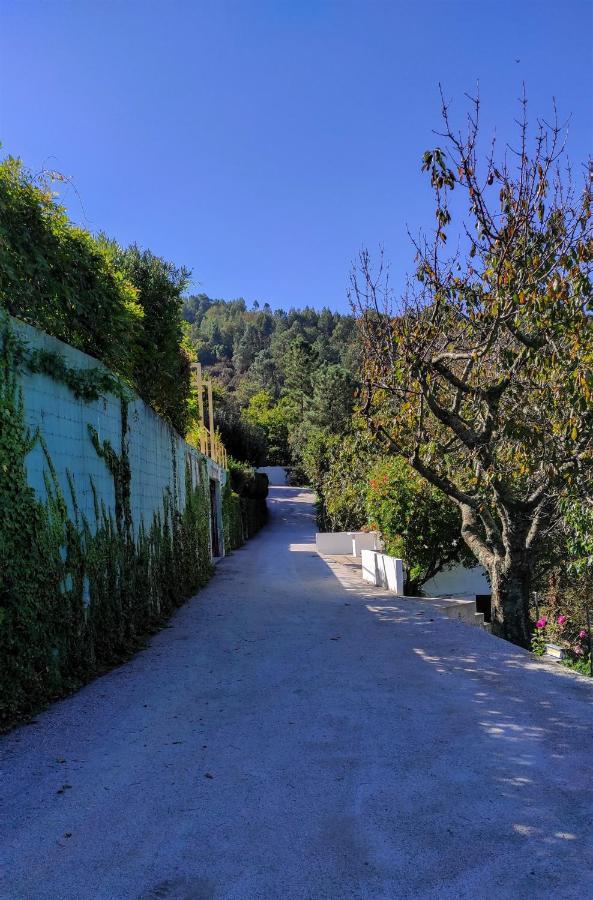Pera Da Serra - Turismo No Espaco Rural 로우사 외부 사진
